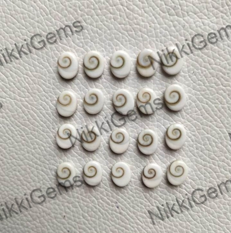 May include: A collection of 18 white oval shell cabochons with brown spiral patterns. The cabochons are arranged in rows on a white textured surface.
