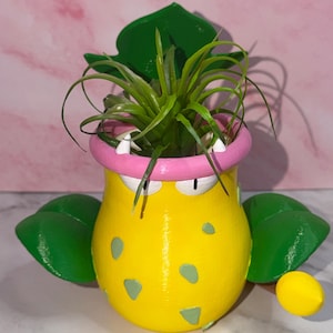 Può includere: Un vaso giallo a forma di creatura con bordo rosa, denti bianchi e appendici simili a foglie verdi sui lati. Il corpo presenta macchie verde chiaro e contiene una pianta aerea con foglie sottili e appuntite che fuoriescono dall'apertura.
