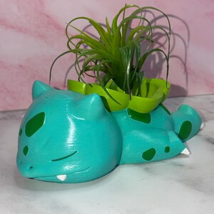 May include: A teal-colored planter shaped like a sleeping creature with dark green spots, white fangs, and a bright green bulb-like structure on its back containing a small, spiky green air plant with thin, curved leaves and a smooth texture.