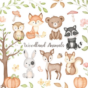 imágenes prediseñadas de animales del bosque, imágenes prediseñadas de animales bebés lindos PNG, imágenes prediseñadas del vivero del bosque de acuarela, ilustración de animales lindos, imágenes prediseñadas del bosque