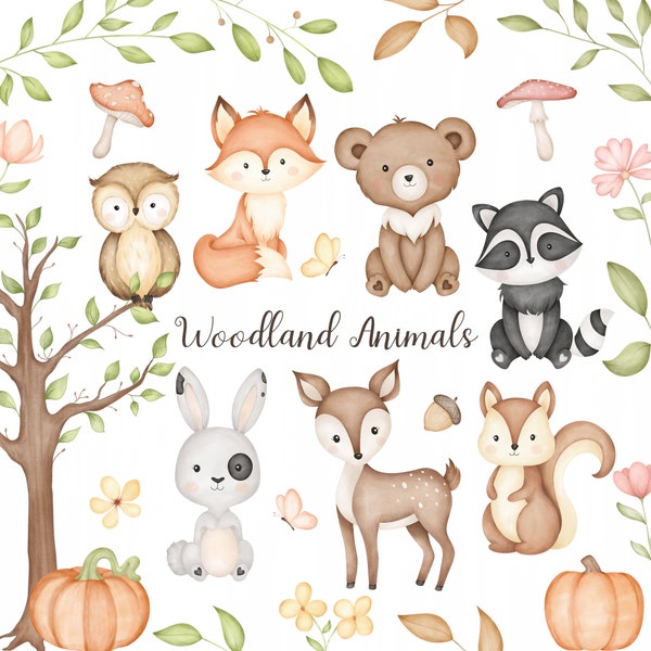 woodland animals clipart, cute baby animals clipart PNG, Watercolor woodland nursery clipart, cute animals illustration, forest clipart