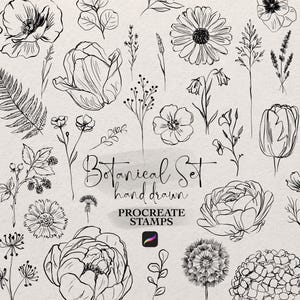 Puede incluir: Una colección de ilustraciones botánicas dibujadas a mano en tinta negra sobre un fondo neutro. La imagen presenta varias flores, hojas y elementos vegetales, incluyendo amapolas, margaritas y helechos. El texto incluye "Botanical Set hand drawn" y "Procreate Stamps".