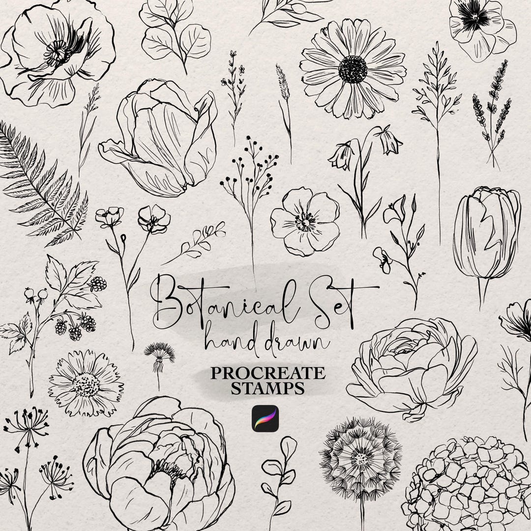 Botanical Procreate Brushset: Hand Draw Floral Procreate Stamps ...