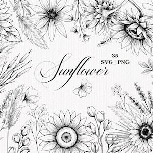 Sunflower SVG PNG Bundle with Boho Wildflowers and Pampas Grass, Botanical Line Art, Pampas Grass Clipart, B&W Florals,  Wildflowers Clipart