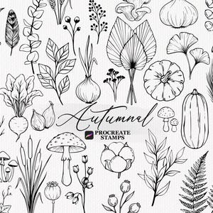 May include: A collection of black and white line art illustrations featuring various botanical elements including leaves, berries, mushrooms, a pumpkin, a squash, an onion, and ferns, with the text Autumnal and Procreate Stamps in the center.