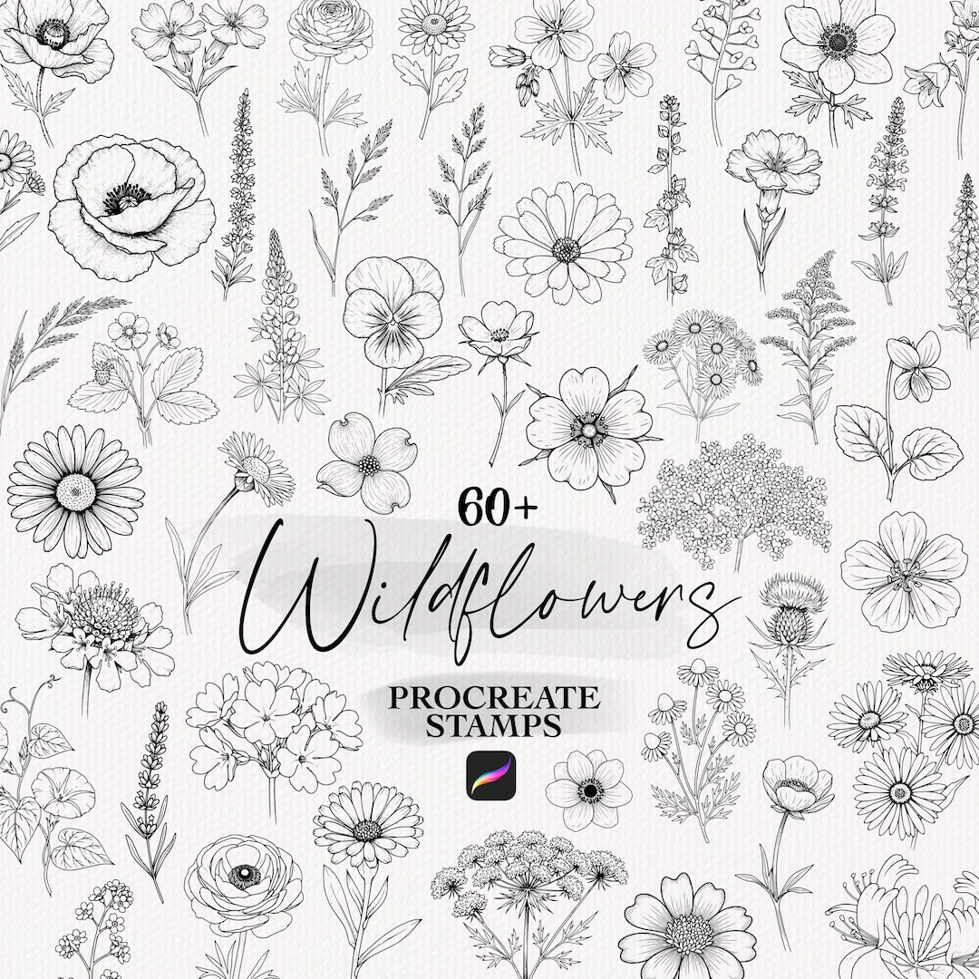 Floral Procreate Stamps: Botanical Lineart Flower Brushes, Floral ...