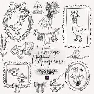 May include: Black and white line art illustrations with a vintage cottagecore theme. The image includes drawings of a goose in a frame, carrots, a clothesline with patterned garments, teacups, and the text "Vintage Cottagecore Procreate Stamps."