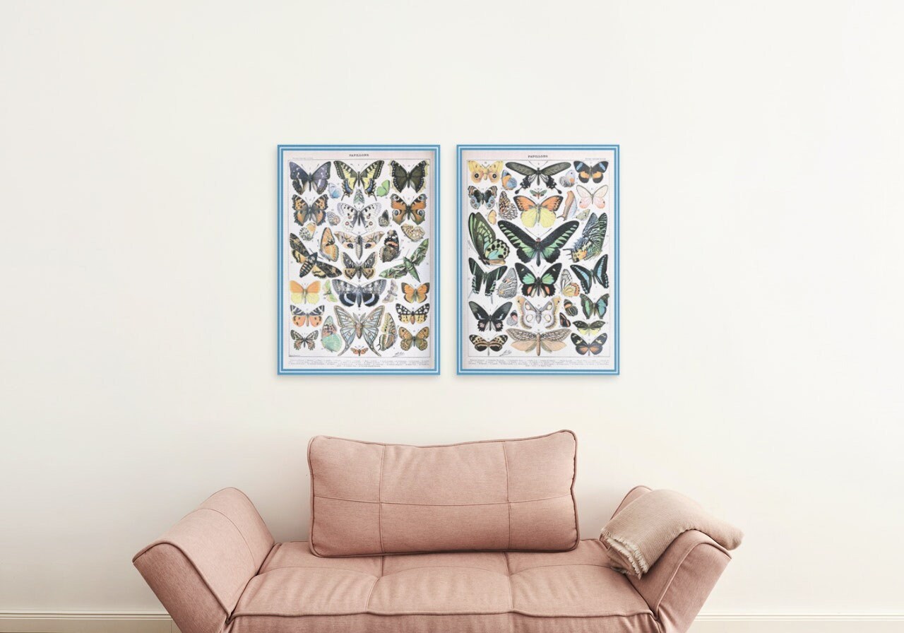 Butterflies Collection Vintage Poster Printed Wall Art - Etsy