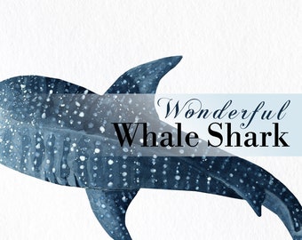 Download Whale Shark Svg Etsy