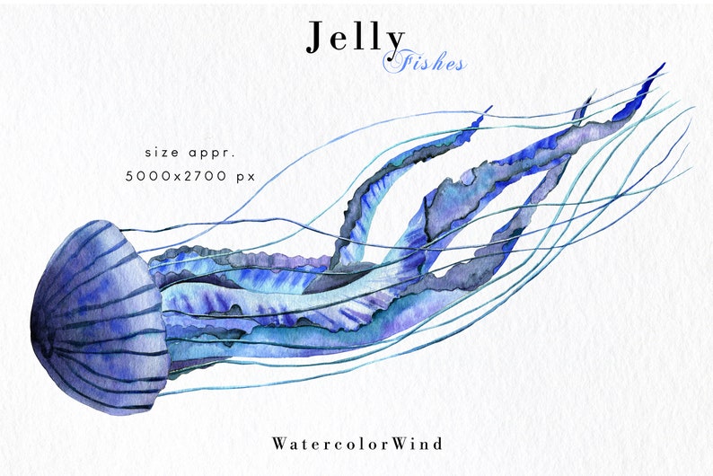 Download Jellyfish Watercolor Clipart Nautical Clipart Beach Clip ...