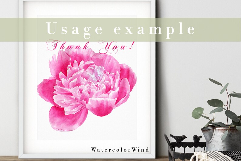 Download Pink Floral Clip Art Peonies Flower Png Watercolor Peony Clipart Planner Peony Logo Design Files For Sublimation Spring Summer Bouquet Clip Art Art Collectibles