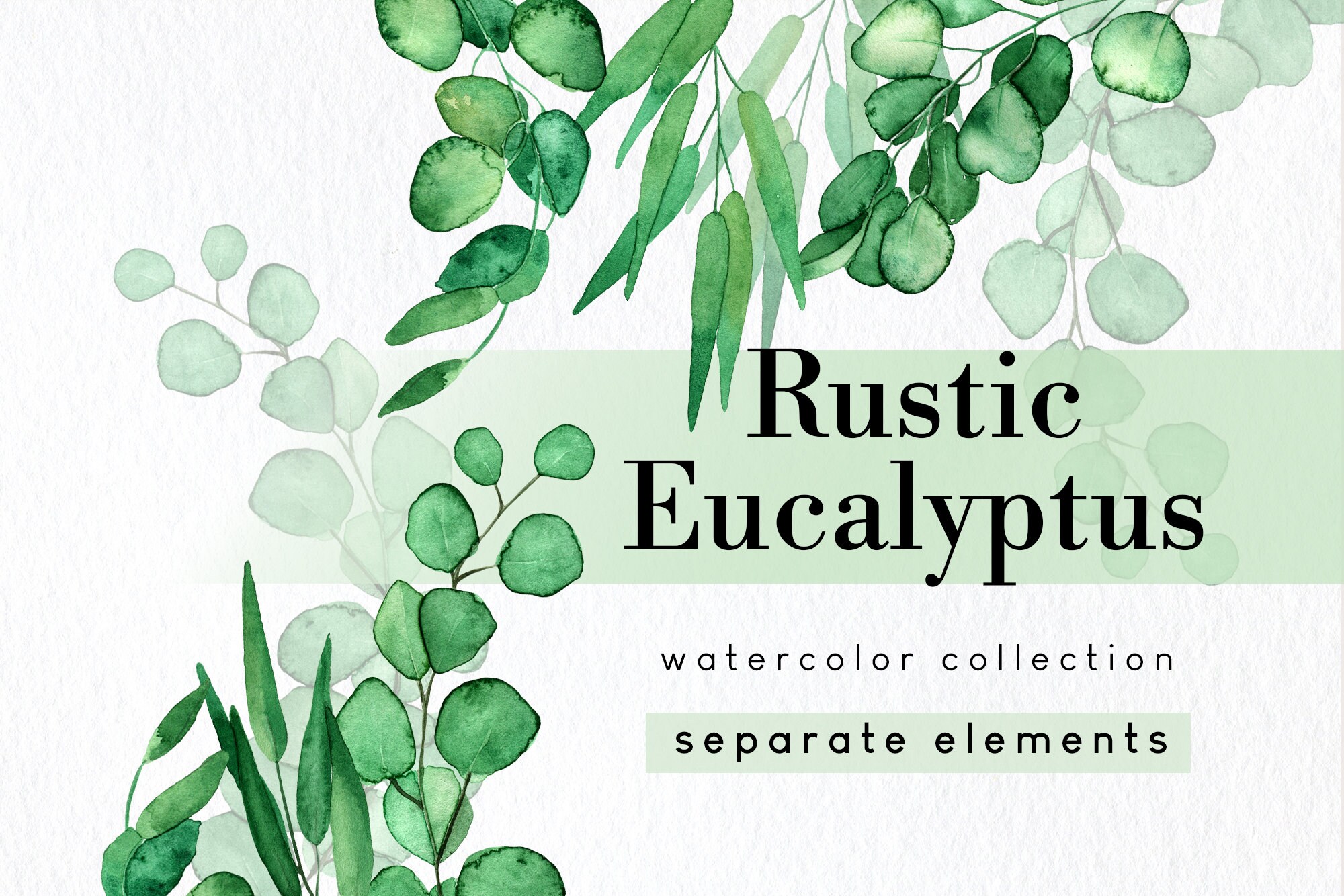 Eucalyptus clipart set with png wreath and foliage drop | Etsy