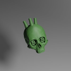 Skull of Satoshi