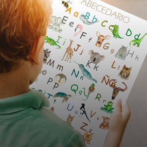 May include: A colorful educational poster with the Spanish alphabet, "ABECEDARIO", and illustrations of animals for each letter. The poster is printed on white paper and features watercolor-style illustrations.
