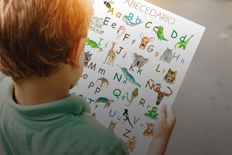 May include: A colorful educational poster with the Spanish alphabet, "ABECEDARIO", and illustrations of animals for each letter. The poster is printed on white paper and features watercolor-style illustrations.