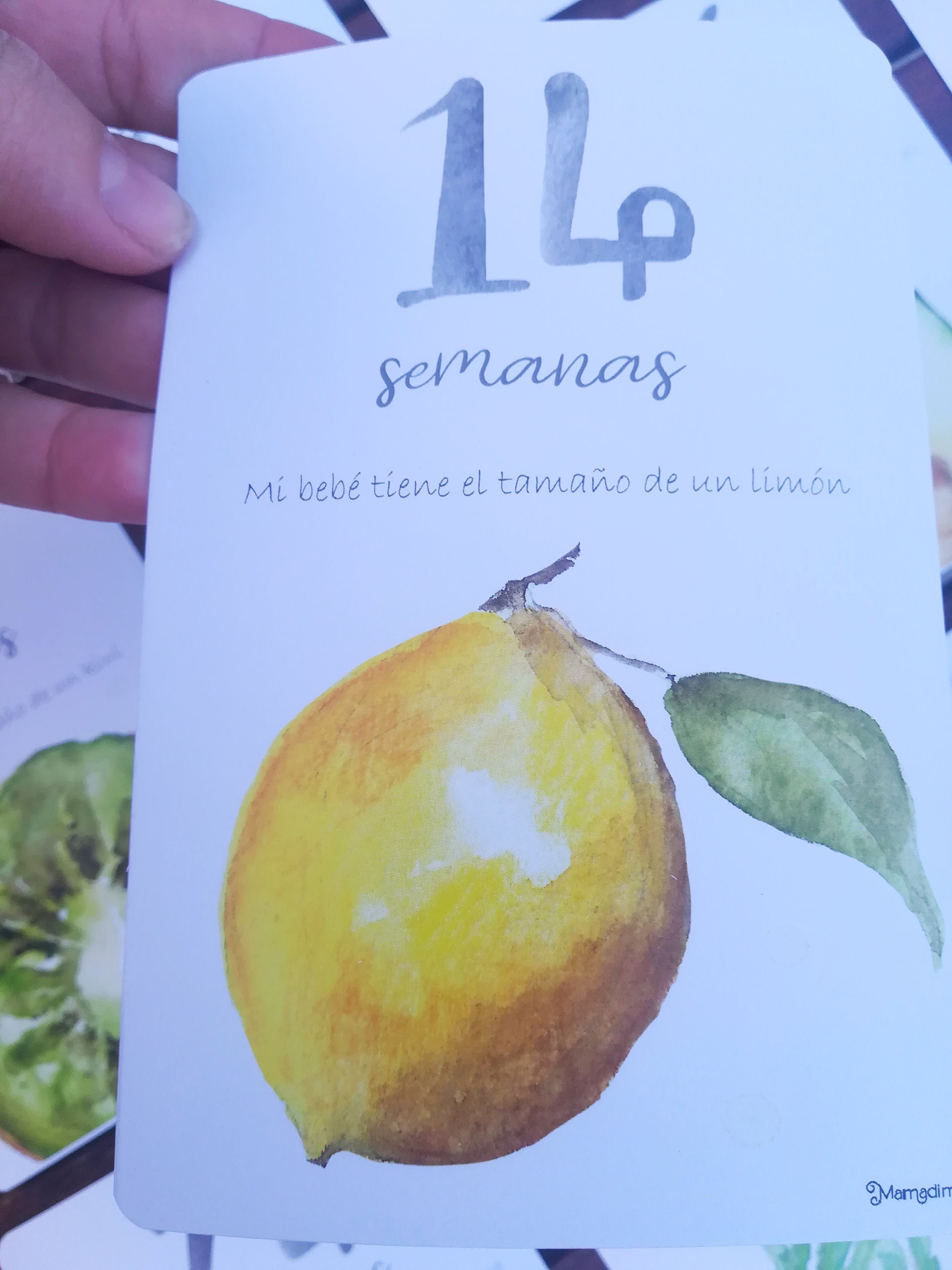 Cartes de grossesse Album de grossesse Annonce de grossesse Etsy France