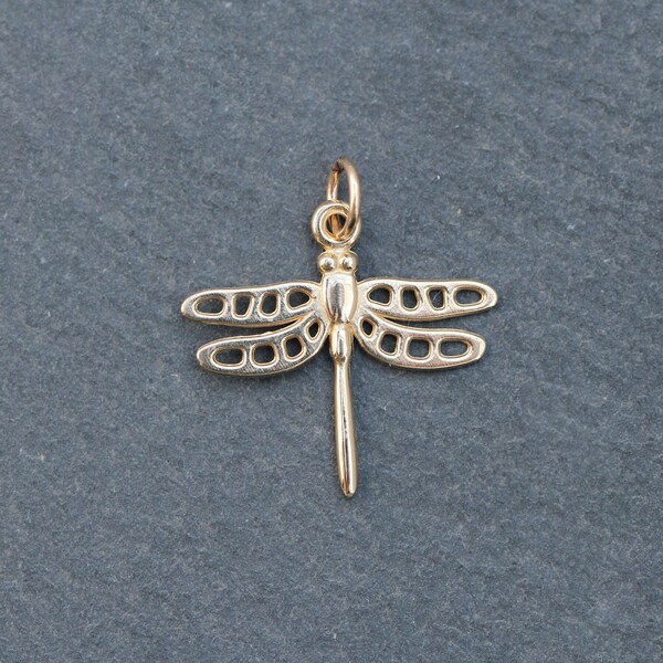 14k Gold Dragonfly Talisman Pendant