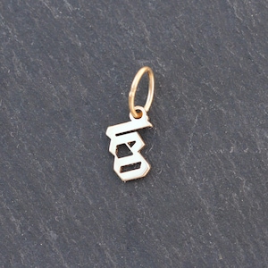 14k Gold 'Leo' Name Plate Charm