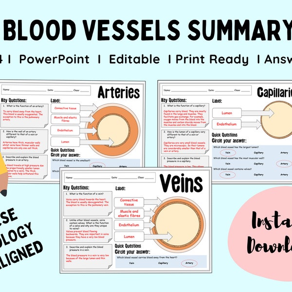 Blood Vessels GCSE Biology Revision Science Learning Teaching Lesson Home School Veins Artery and Capillary