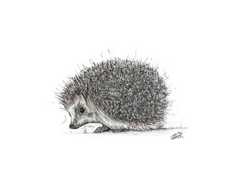 Hedgehog. Cute hedgehog. Hedgehog Cards. Hedgehog Prints.