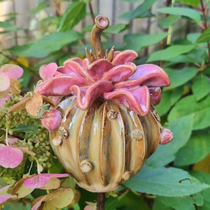 Op de afbeelding: Een keramieken sculptuur in de vorm van een ronde, geribbelde kalebas met een glanzend beige en bruin glazuur. De bovenkant heeft een grote, roze bloem met golvende bloemblaadjes en een bruine steel. Kleine, verhoogde details sieren de zijkanten.