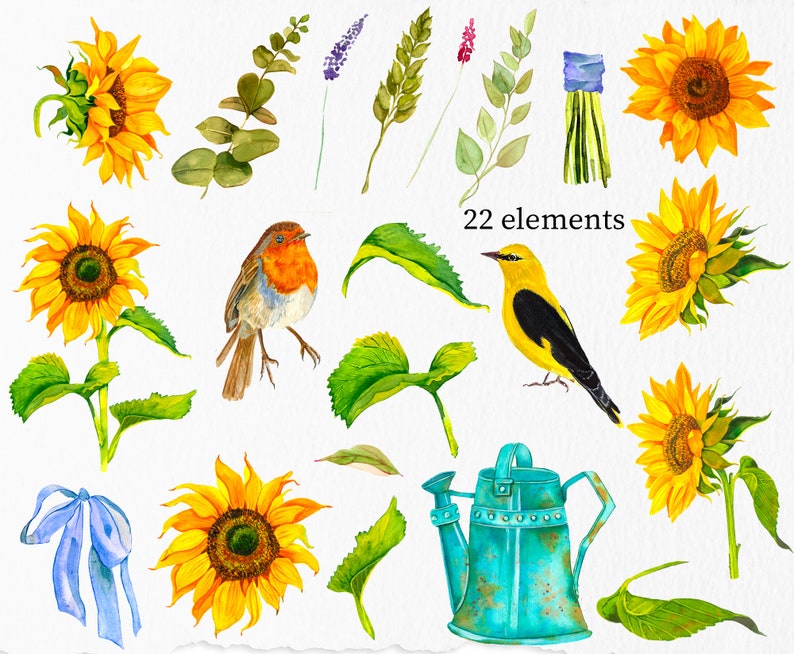 birds a bouquet of sunflowers Yellow Flowers Illustration DIY Wedding watering can The sun boho Sunflower watercolor clipart summer
