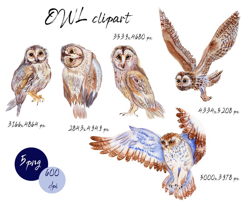 Download Boho Owl Clipart Watercolor Woodland Clipart Owl Clipart Owl Illustrations Printable Watercolor Owls Painting Clip Art Art Collectibles Delage Com Br