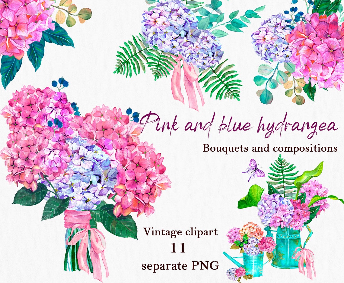 Watercolor Pink and Blue Hydrangea With Tropical Leaves and | Etsy