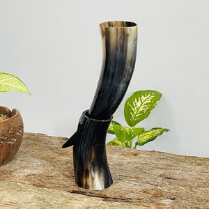 May include: A black and brown drinking horn with a wooden base. The horn is curved and has a smooth, polished finish.