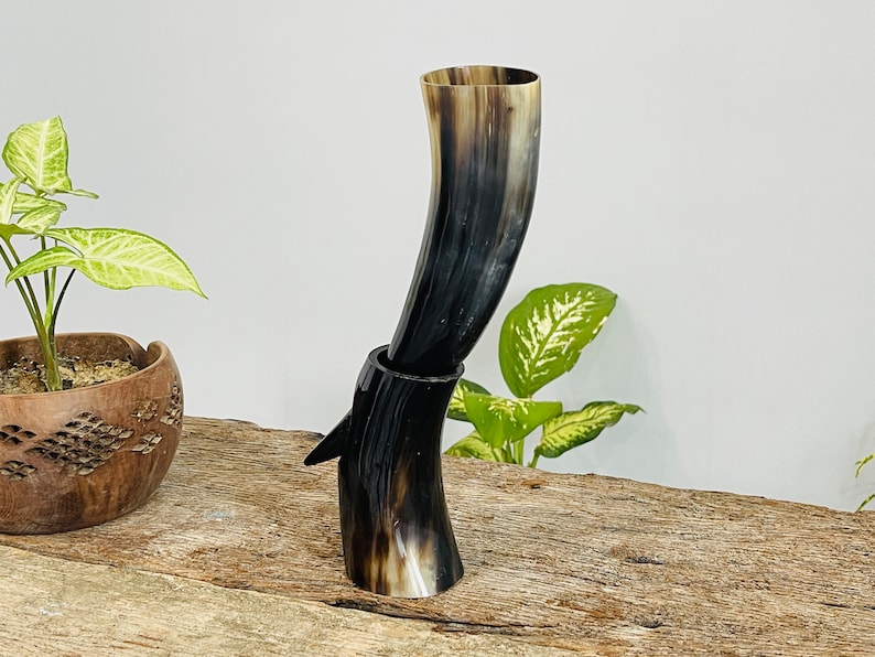 May include: A black and brown drinking horn with a wooden base. The horn is curved and has a smooth, polished finish.