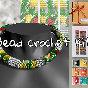 May include: A bead crochet kit featuring a colourful beaded necklace, beads, needles, and instructions. The kit includes a pattern for a necklace with a green, yellow, and white design. Follow @crazy_beader on Instagram.