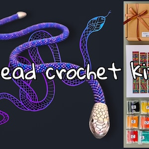 May include: A bead crochet kit to make a snake with a purple and blue beaded body and a silver head. The kit includes beads, thread, needles, and instructions. Follow @tracy_beader on Instagram.