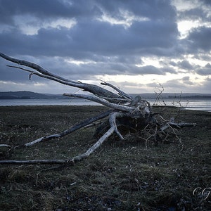 Highland Photography