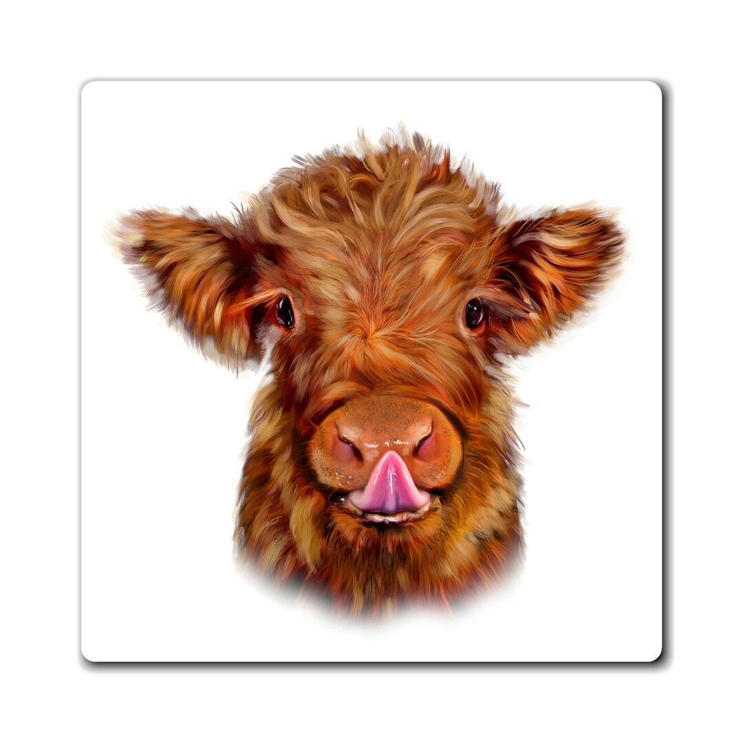 Highland Cow Tasse – 284 Ml, „Heilan Coo“-Design, Spülmaschinengeeignet, Perfekt Für Schottland-Fans