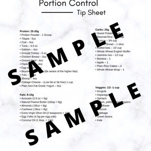 Guide to Macros Portion Control Tip Sheet - Etsy
