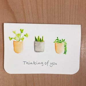 Esthétique simple de plante d'intérieur