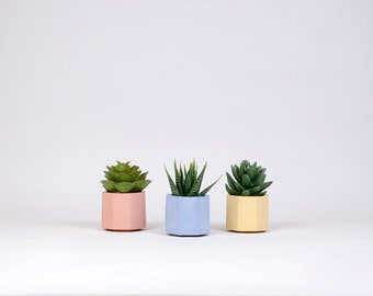 Hexagon Succulent Planter, Candle Holder, Concrete Pot, Air Plant Holder, Geometric Planter,Tiny Planter, Cactus Pot, Colorful Planter Set