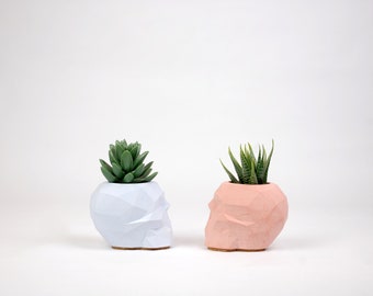 Concrete Skull Planter, Skull Pen Holder, Small Succulent Plant Pot, Indoor Plant Holders , Air Plant Holder, Pencil Holder, Unique Planters