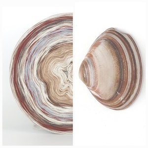 May include: A split image features a large, circular yarn cake with shades of brown, red, and cream. Next to it is a seashell with brown and cream stripes. The yarn appears to be for knitting or crocheting.
