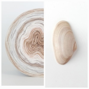 May include: A split image featuring a skein of yarn and a seashell. The yarn is a gradient of white, tan, and brown. The seashell is a light beige color with visible ridges.