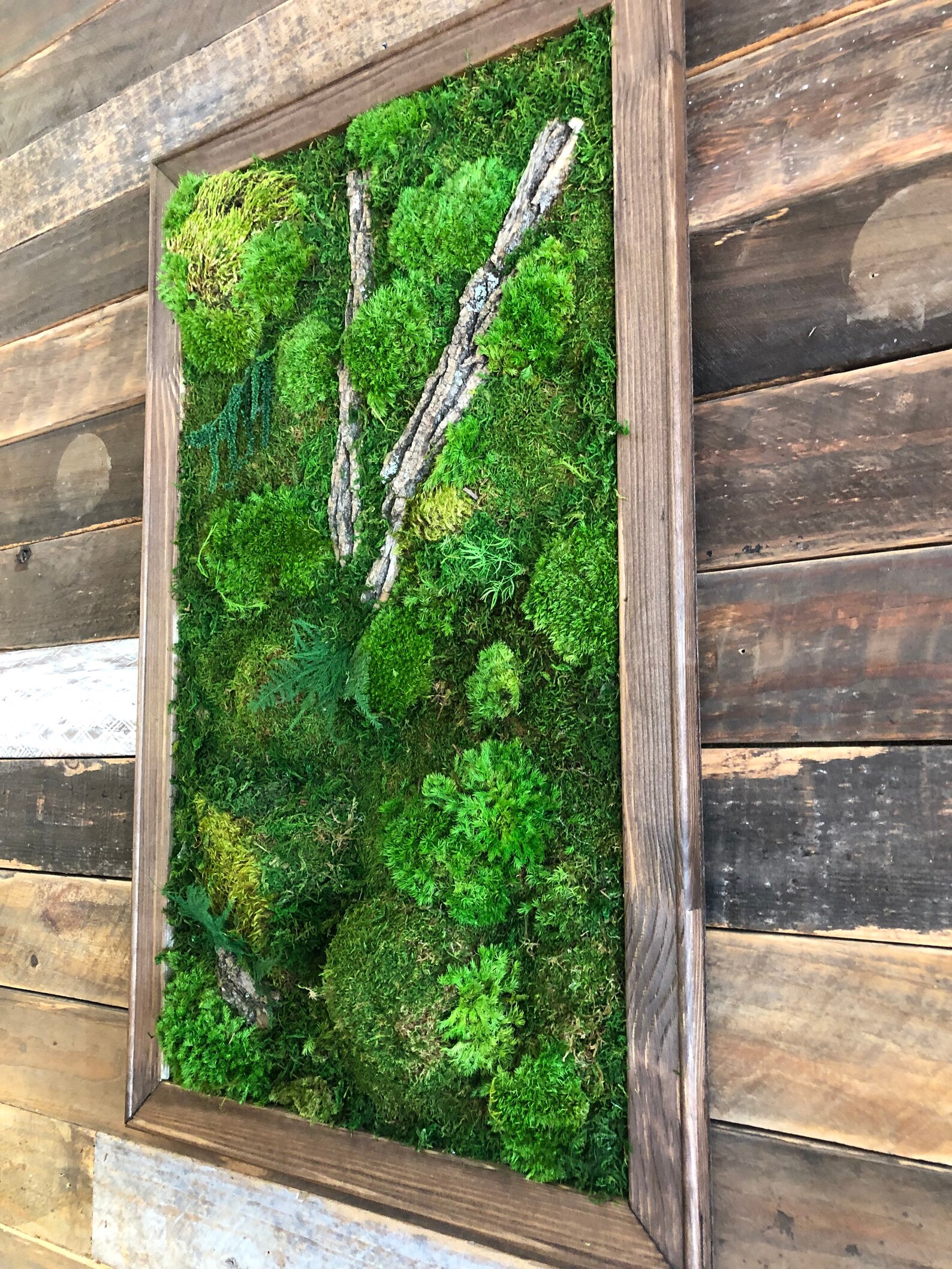 Living Moss Wall Art Moss Wall Moss Picture Natural Wall Art Etsy UK