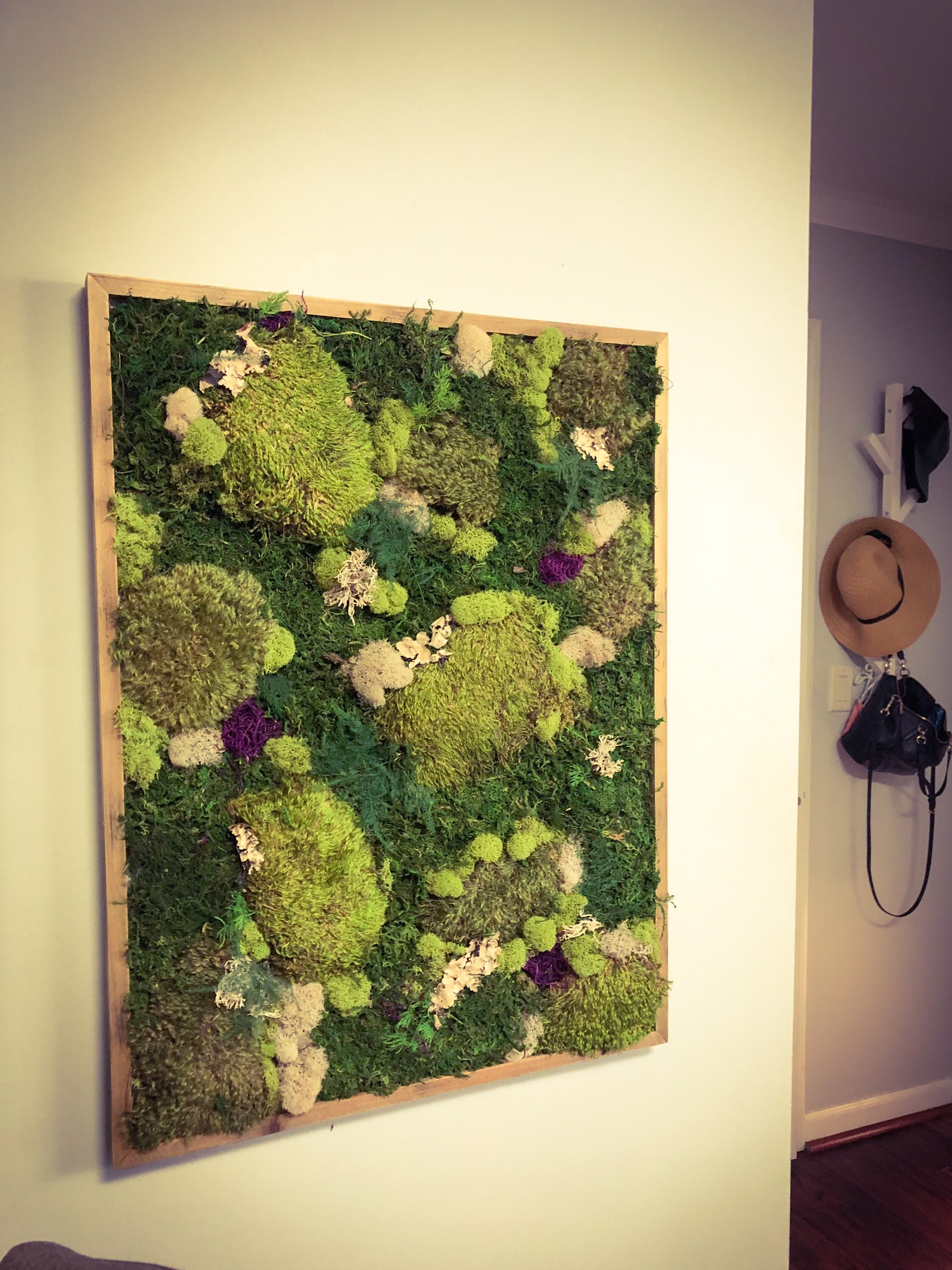 Wandbilder Moos: Bringing Nature Indoors