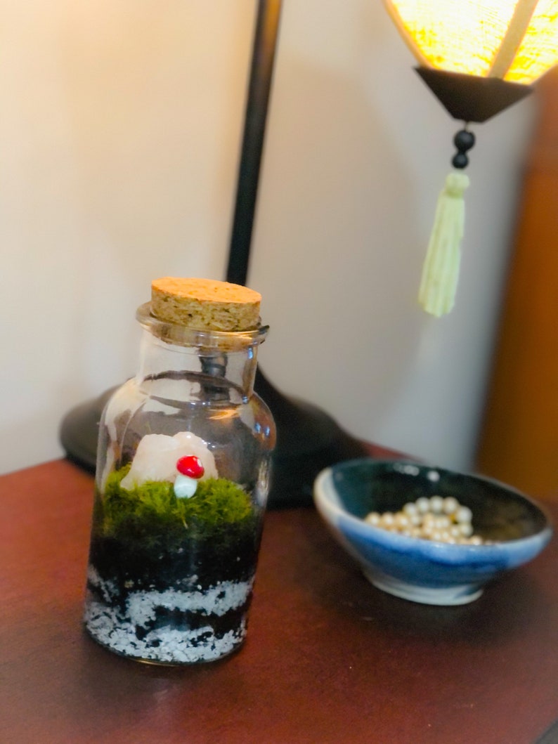 Living Moss Terrarium Moss Indoor plants Moss plants Etsy