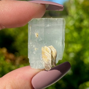 All Natural High Grade Aquamarine Crystal Specimen with Muscovite