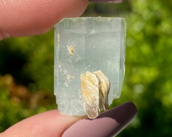 All Natural High Grade Aquamarine Crystal Specimen with Muscovite