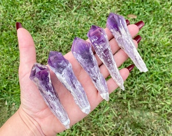 May include: Six amethyst crystal points in various sizes and shades of purple, held in a hand against a green grassy background.