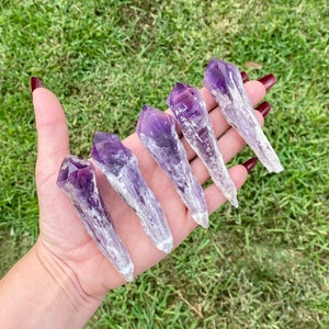 ONE 3&quot; Raw Amethyst Crystal Root (24 Available)