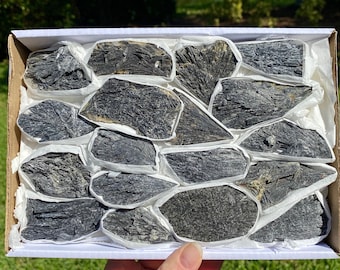 ONE Raw Black Kyanite Piece
