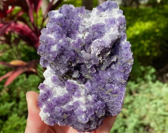 Zeldzaam natuurlijk paars kubisch fluoriet op matrix met pyriet en fantoominsluitsels uit Binnen-Mongolië, China