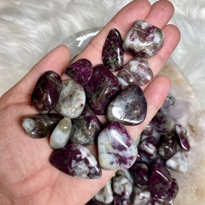 May include: A collection of tumbled pink and white ruby in fuchsite stones. The stones are smooth and polished, with a variety of shapes and sizes.